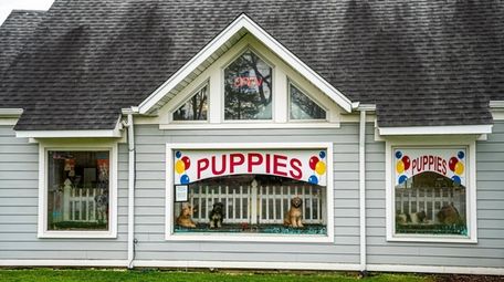Puppy Experience in Aquebogue, which has filed suit