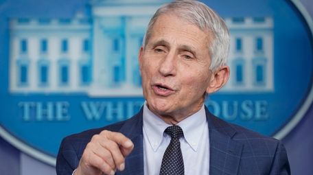Dr. Anthony Fauci, director of the National Institute