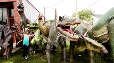 An assortment of dinosaurs at Behind the Fence