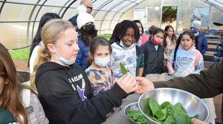 Westhampton Beach Elementary School students have been learning