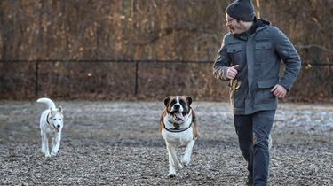 Bruce Pandolfo, of Hauppauge, runs with his dogs