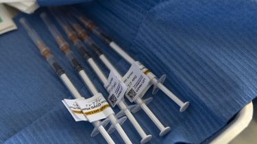 Syringes with doses of the COVID-19 Pfizer vaccine