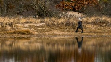 A woman walks at Sunken Meadow State Park