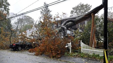 Sandy brings down a tree onto a car