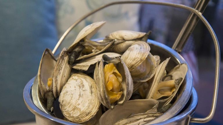 Soft-shell clams need only be steamed, hence their