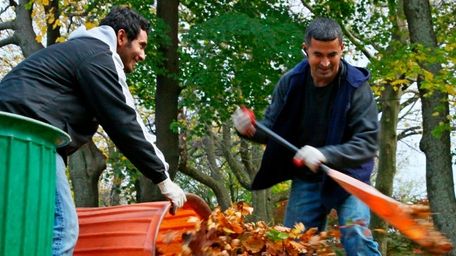 Landscaper: Do you enjoy frolicking in your backyard,