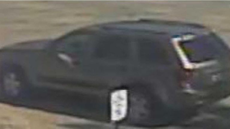 Crime Stoppers and Suffolk County police have released